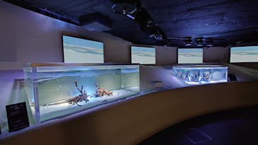 カワスイ 川崎⽔族館に投稿された画像（2023/7/12）