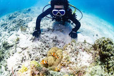 EARTH-LENS（アースレンズ）に投稿された画像（2023/7/12）