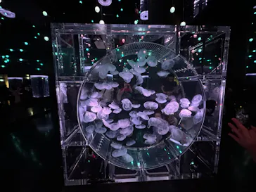 マクセル アクアパーク品川に投稿された画像（2023/7/12）