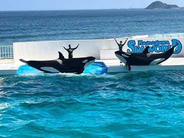 鴨川シーワールドに投稿された画像（2023/7/13）