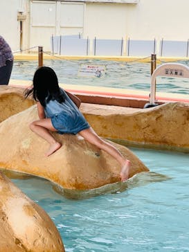 伊豆・三津シーパラダイスに投稿された画像（2023/7/13）