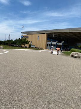 新江ノ島水族館に投稿された画像（2023/6/30）