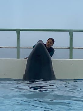 鴨川シーワールドに投稿された画像（2023/7/13）