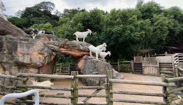 到津の森公園に投稿された画像（2023/7/13）