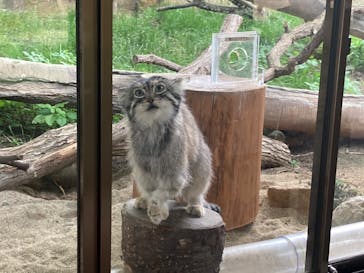 那須どうぶつ王国に投稿された画像（2023/7/13）