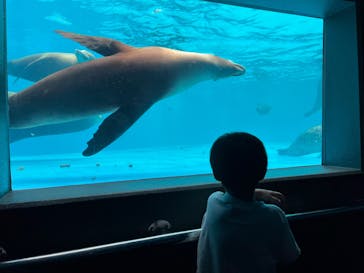 鴨川シーワールドに投稿された画像（2023/7/13）