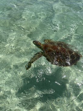 宮古島 ADVENTURE PiPi（ミヤコジマ アドベンチャー ピピ）に投稿された画像（2023/7/13）