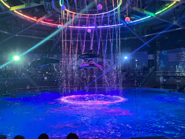 マクセル アクアパーク品川に投稿された画像（2023/7/13）