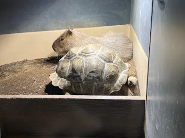 マクセル アクアパーク品川に投稿された画像（2023/7/13）