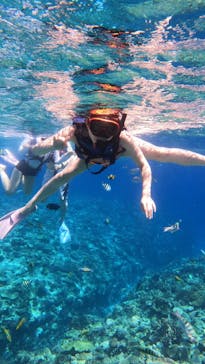 Sea World（シーワールド）に投稿された画像（2023/7/13）