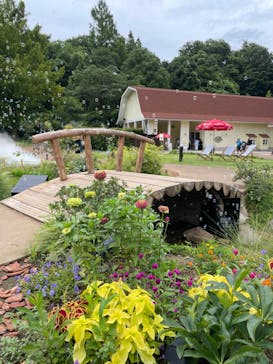 ムーミンバレーパークに投稿された画像（2023/7/13）