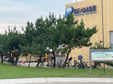 新江ノ島水族館に投稿された画像（2023/7/14）