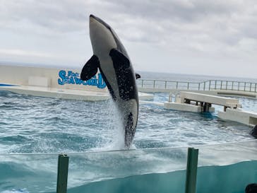 鴨川シーワールドに投稿された画像（2023/7/14）