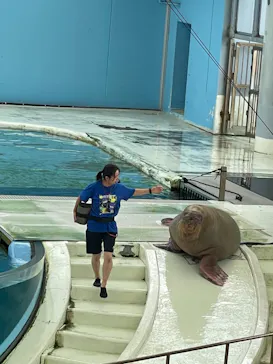 横浜・八景島シーパラダイスに投稿された画像（2023/7/14）