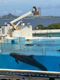 沖縄美ら海水族館に投稿された画像（2023/7/14）
