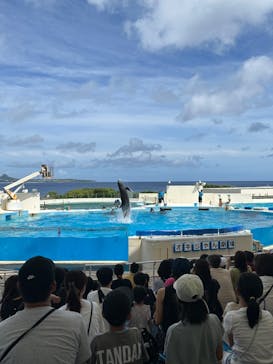 沖縄美ら海水族館に投稿された画像（2023/7/14）