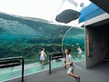 九十九島水族館海きららに投稿された画像（2023/7/14）