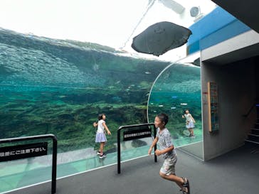 九十九島水族館海きららに投稿された画像（2023/7/14）