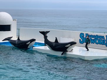 鴨川シーワールドに投稿された画像（2023/7/14）