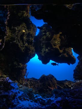 鴨川シーワールドに投稿された画像（2023/7/14）