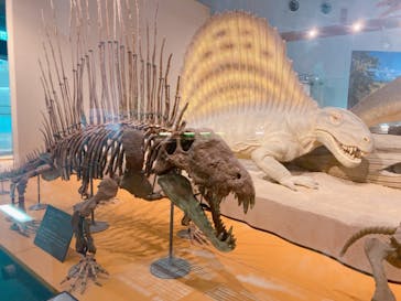 福井県立恐竜博物館に投稿された画像（2023/7/14）