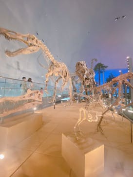 福井県立恐竜博物館に投稿された画像（2023/7/14）