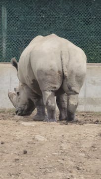 群馬サファリパークに投稿された画像（2023/7/14）