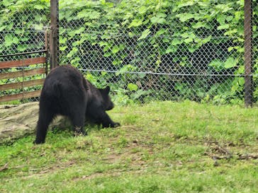 群馬サファリパークに投稿された画像（2023/7/14）