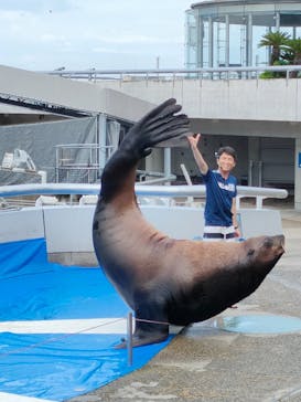大分マリーンパレス水族館 「うみたまご」に投稿された画像（2023/7/14）