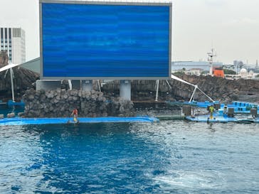 名古屋港水族館に投稿された画像（2023/7/14）