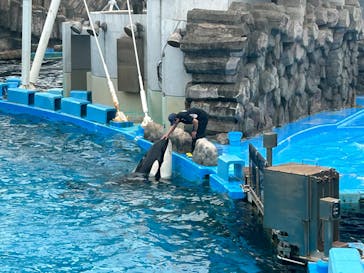 名古屋港水族館に投稿された画像（2023/7/14）