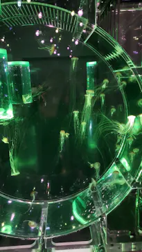 マクセル アクアパーク品川に投稿された画像（2023/7/14）