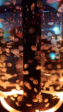 マクセル アクアパーク品川に投稿された画像（2023/7/14）