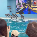 横浜・八景島シーパラダイスに投稿された画像（2023/7/14）