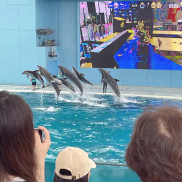横浜・八景島シーパラダイスに投稿された画像（2023/7/14）