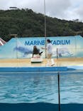 下田海中水族館に投稿された画像（2023/7/14）