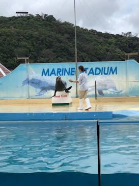 下田海中水族館に投稿された画像（2023/7/14）