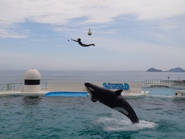 鴨川シーワールドに投稿された画像（2023/7/14）