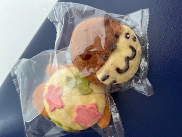 新江ノ島水族館に投稿された画像（2023/7/15）