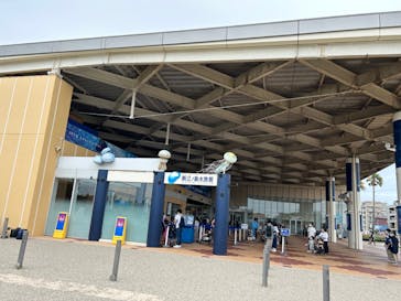 新江ノ島水族館に投稿された画像（2023/7/15）