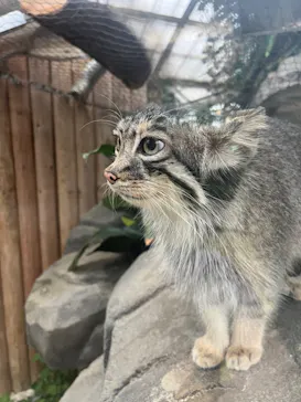 神戸どうぶつ王国に投稿された画像（2023/7/15）