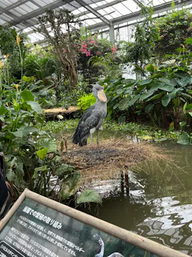 神戸どうぶつ王国に投稿された画像（2023/7/15）