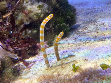 名古屋港水族館に投稿された画像（2023/7/15）