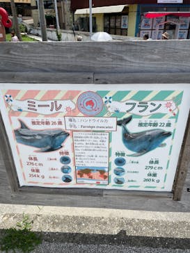 日間賀島ドルフィンビーチに投稿された画像（2023/7/15）