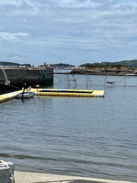 日間賀島ドルフィンビーチに投稿された画像（2023/7/15）