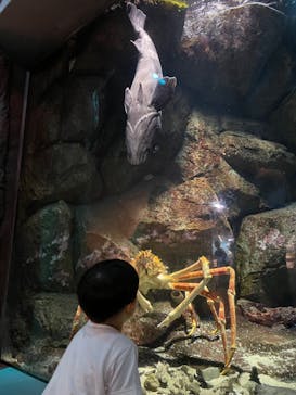 鴨川シーワールドに投稿された画像（2023/7/15）