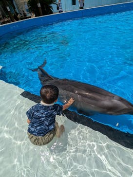 南知多ビーチランド＆南知多おもちゃ王国に投稿された画像（2023/7/15）