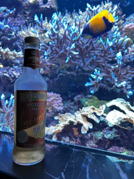 マクセル アクアパーク品川に投稿された画像（2023/7/15）