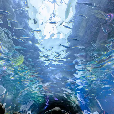 マクセル アクアパーク品川に投稿された画像（2023/7/15）