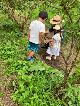 まかいの牧場に投稿された画像（2023/7/15）